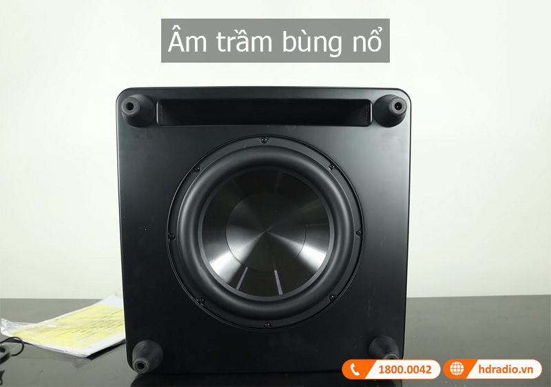 Am thanh loa DSW PRO 550