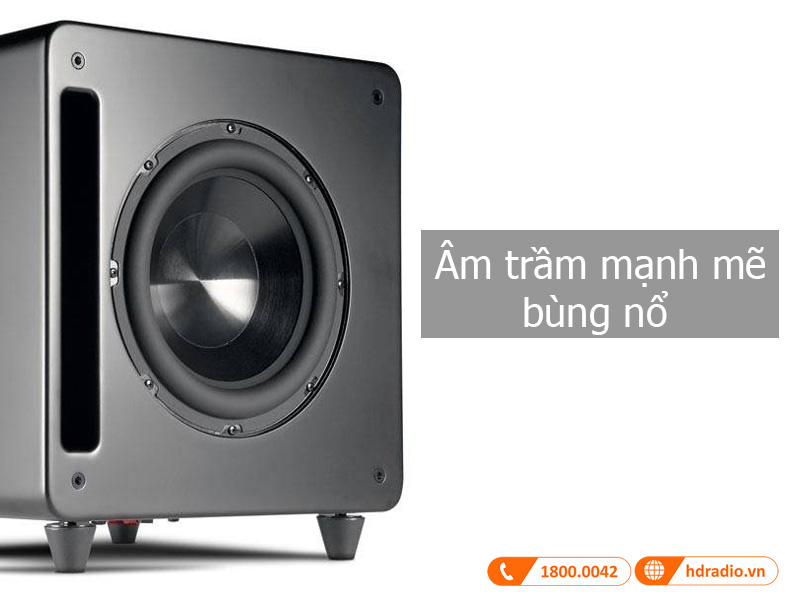 Am thanh loa DSW PRO 660