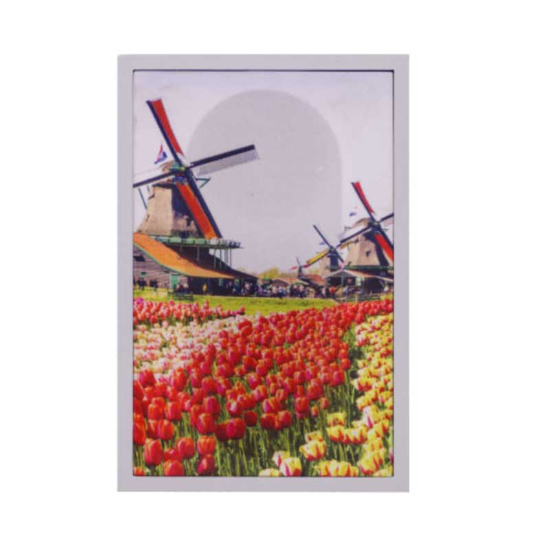 Loa Sumico Canvas 6506 (1 loa sub + 2 loa vệ tinh), Công suất 200W-5