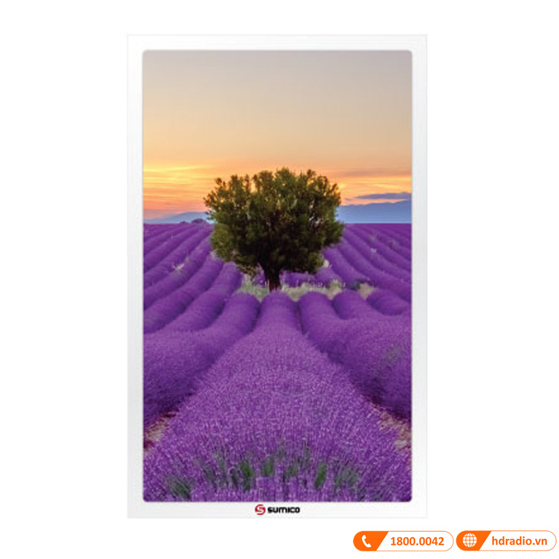 Loa Sumico Canvas 1008 (1 loa sub + 2 loa vệ tinh), 250W, 90dB, 6Ohms-11