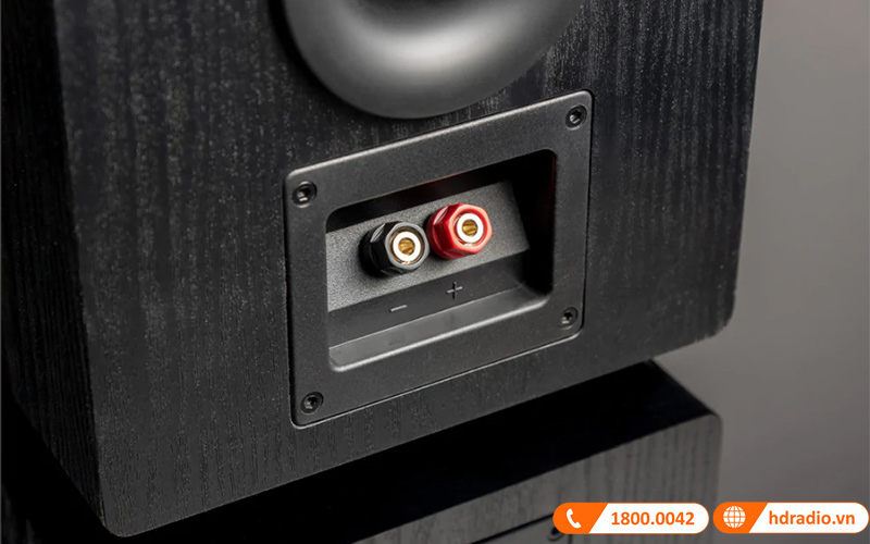 Loa SVS Prime Pinnacle kết nối dễ dàng