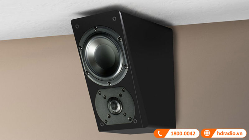 loa surround toàn dải 2 đường tiếng