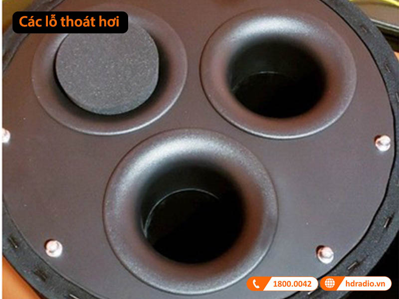 lỗ thoát hơi