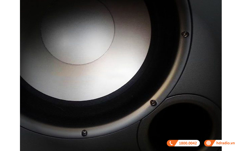 Loa sub Polk Audio PSW 10 cong suat