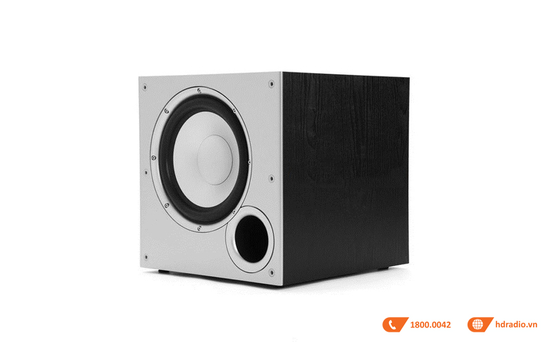 Loa sub Polk Audio PSW 10 ket noi