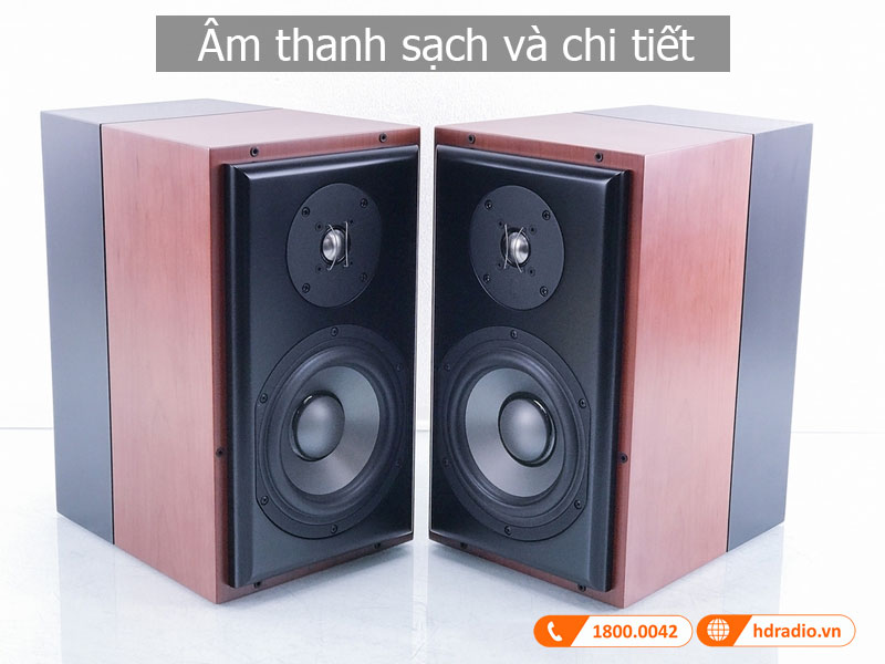 Am thanh loa M22
