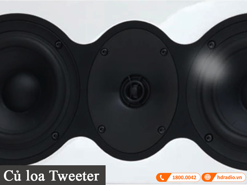cu loa tweeter