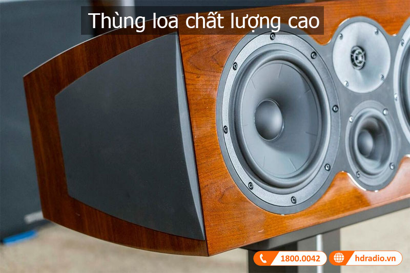 Thiet ke loa C208