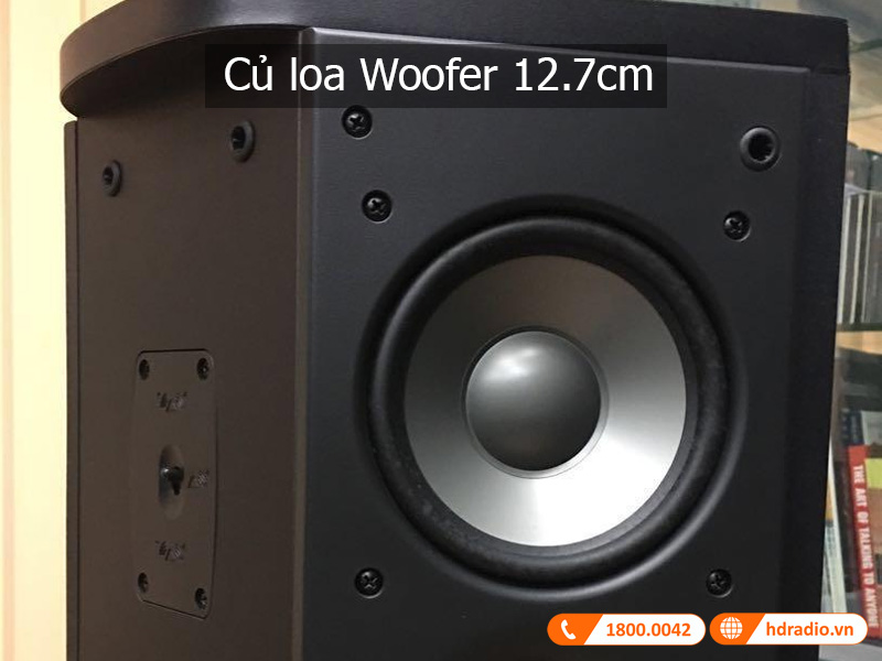 Am thanh loa S12