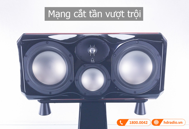 Tinh nang loa Voice2