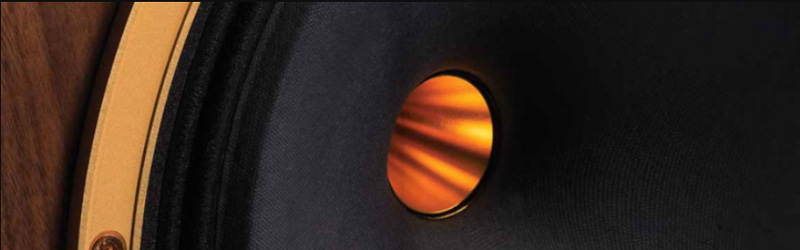 cu loa tep cua Loa Tannoy Canterbury GR