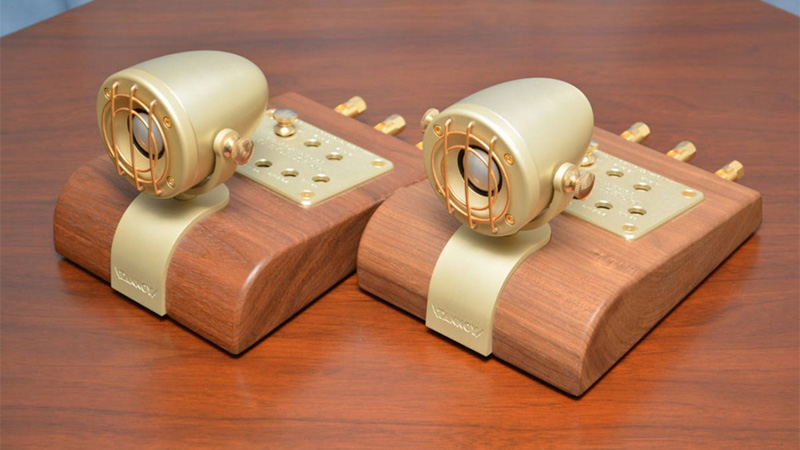 Loa Tannoy Super Tweeter GO (Độ nhạy 95dB, Tần số 62KHz-100KHz)-1