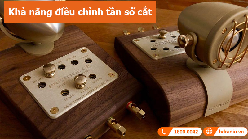 Loa Tannoy Super Tweeter GO (Độ nhạy 95dB, Tần số 62KHz-100KHz)-6