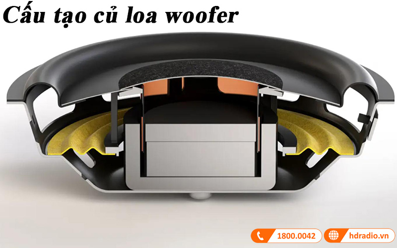 cau truc cu loa woofer