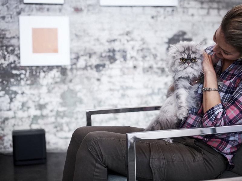 Loa sub Bose Bass Module 500