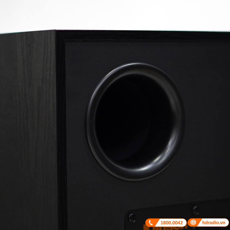 Loa Sub Klipsch R101SW, Bass 25cm, Công Suất 150W-10