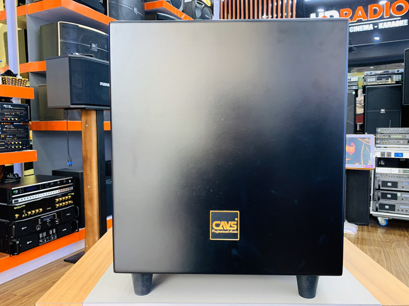 loa-sub-cavs-cs12-pro