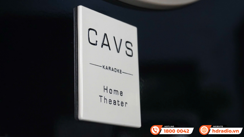 Loa sub CAVS THS12 Loa sub CAVS THS12
