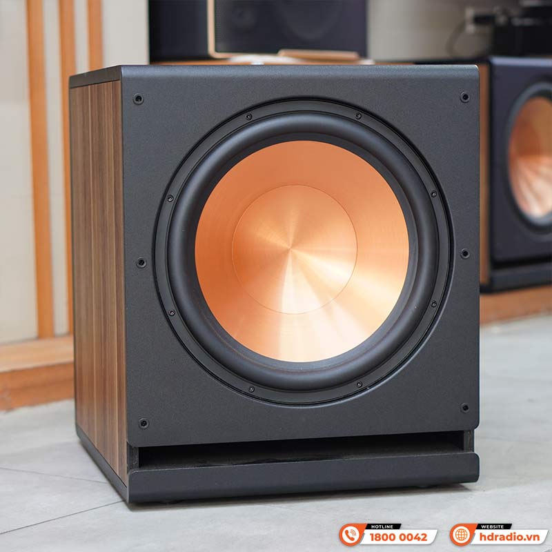 Loa sub Paramax D40 đã bỏ Ecang