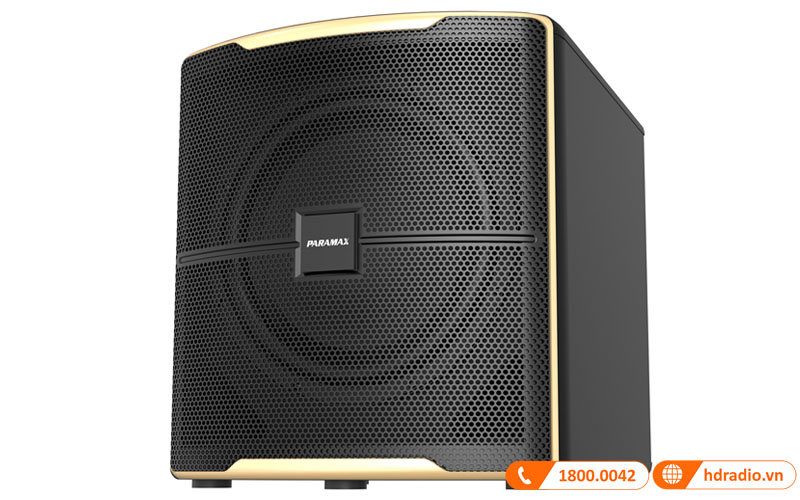 Loa sub Paramax Z-Sub, Bass 30.5cm, RMS 300W-2
