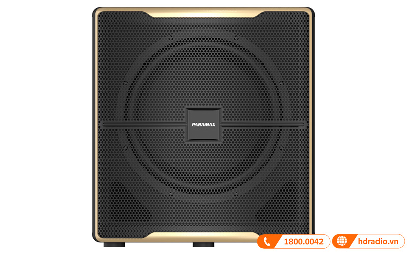 Loa sub Paramax Z-Sub, Bass 30.5cm, RMS 300W-3