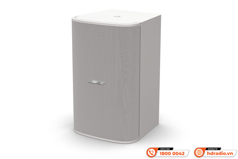 Ứng dụng thực tế Loa treo tường Bose Designmax DM10S-SUB
