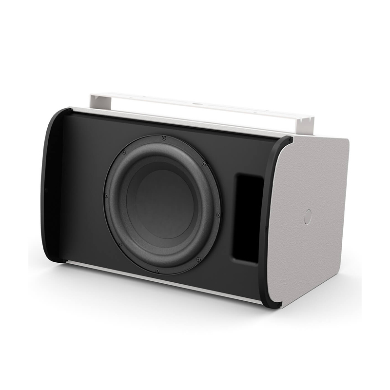 Loa Treo Tường Bose Designmax DM10S Sub, Bass 25cm, 300W-3