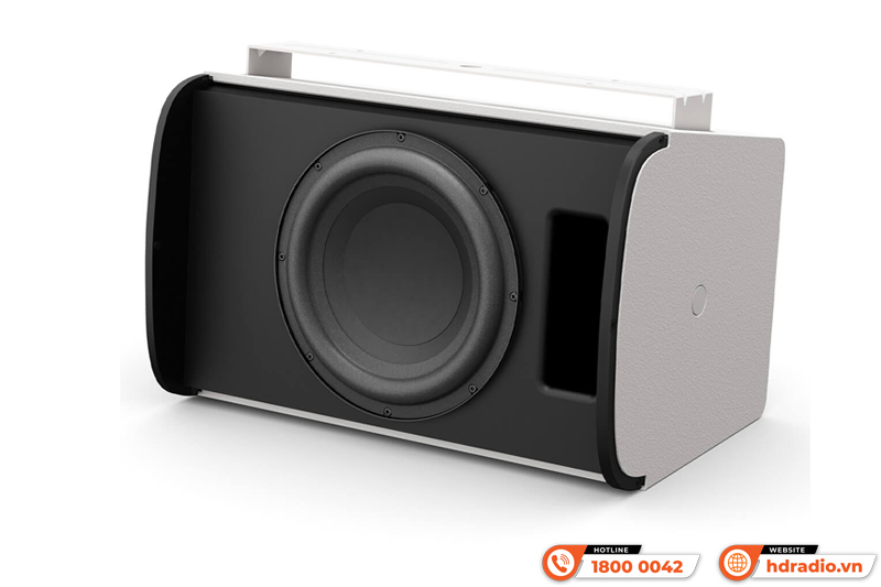 Driver 10 inch của Loa treo tường Bose Designmax DM10S-SUB