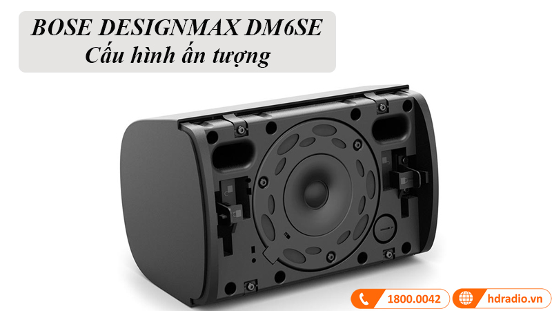 Loa Bose Designmax DM6SE