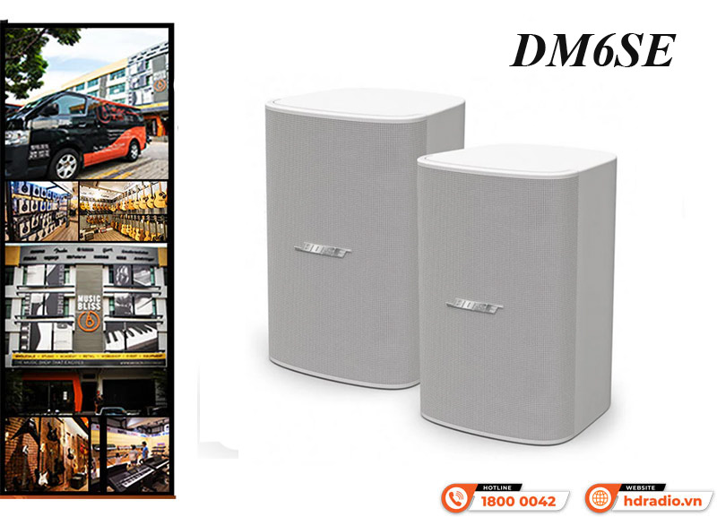 Ứng dụng thực tế Loa Treo Tường Bose Designmax DM6SE