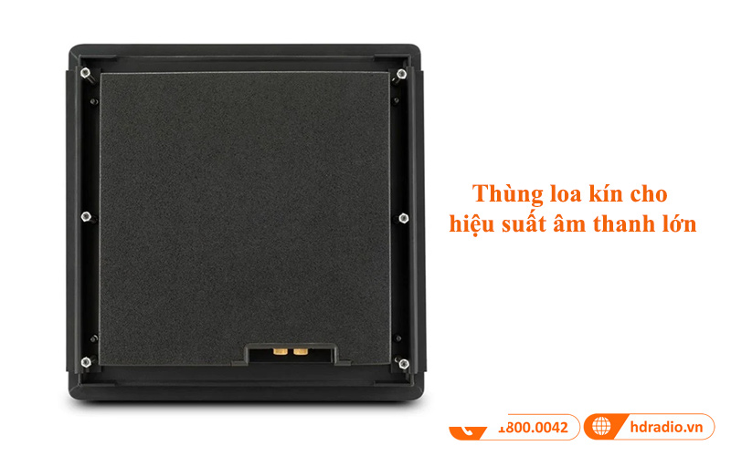 thung loa treo tuong mcintosh ws300