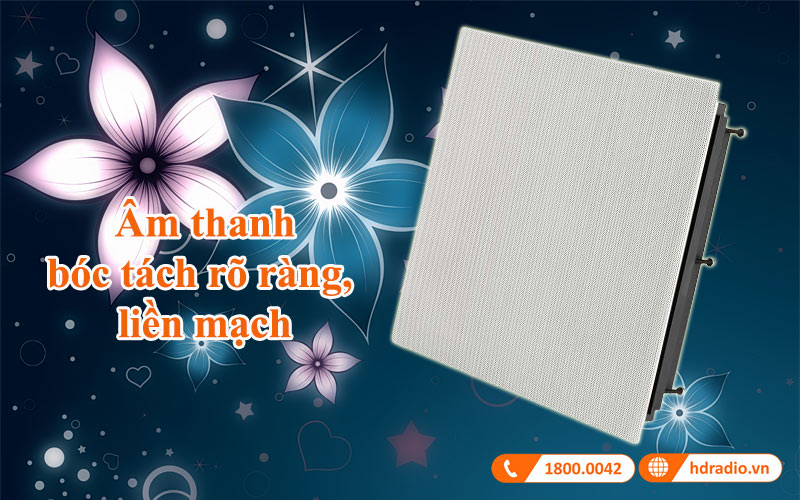 am thanh loa mcintosh ws300