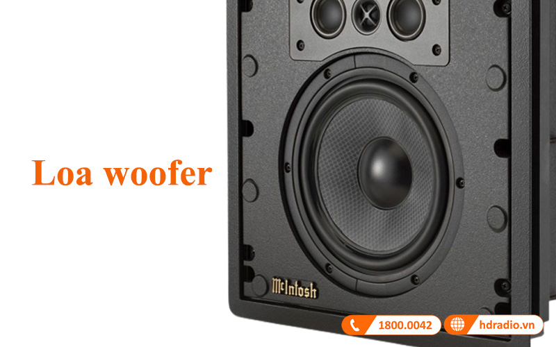 loa woofer loa treo tuong mcintosh ws300
