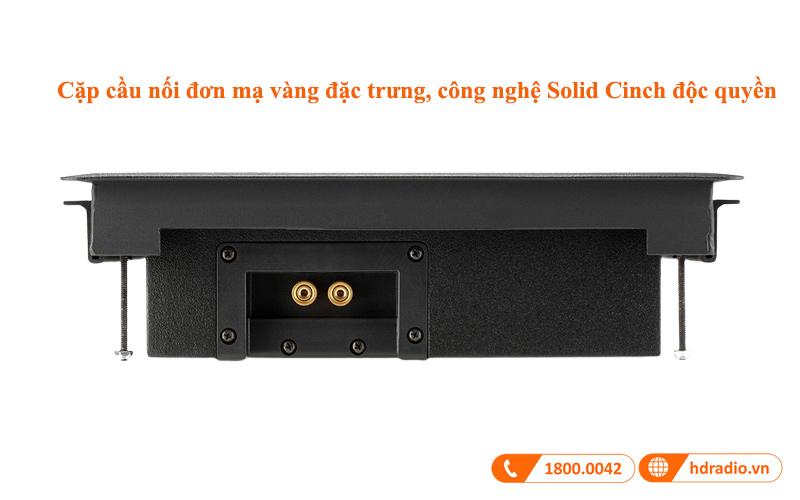 ket noi loa mcintosh ws300