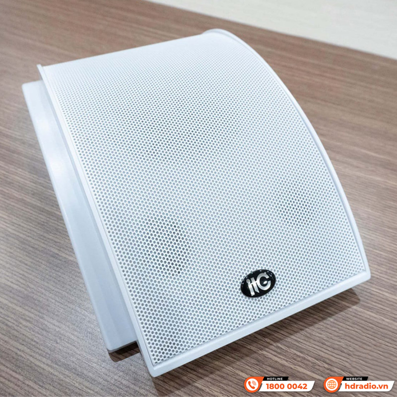 Âm thanh Loa hộp treo tường ITC T-611