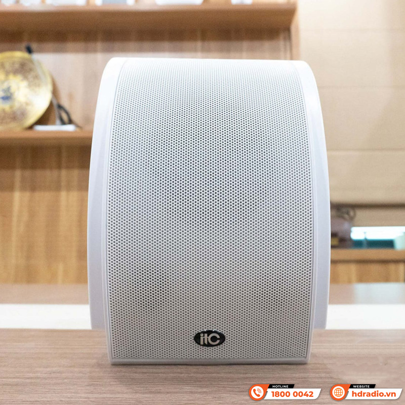 Thiết kế Loa hộp treo tường ITC T-611