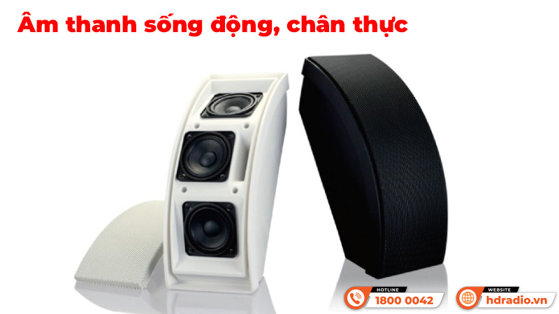 Âm thanh Loa hộp treo tường ITC T-733B