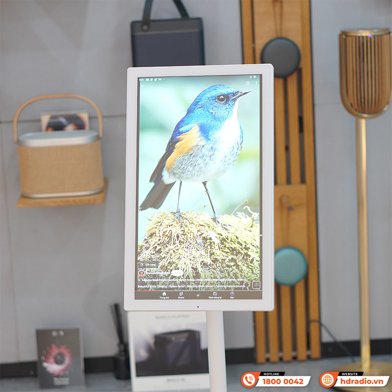 Màn Hình Cảm Ứng Di Động Himedia M22, 21.5 inch, Camera 5MP, Pin 8000mAh-4