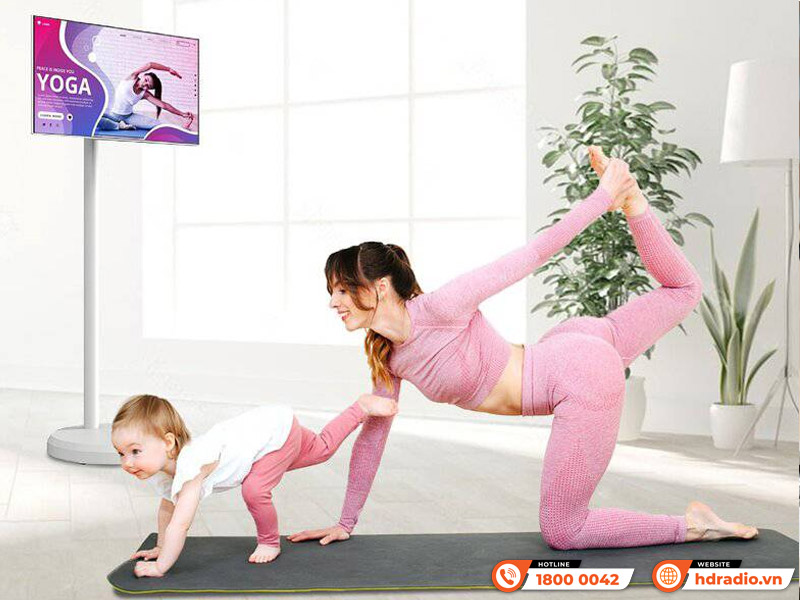 Màn hình di động cảm ứng Himedia Home M24