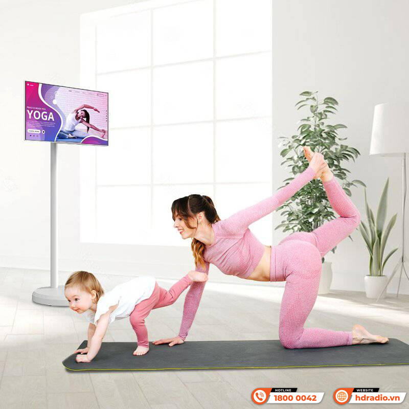 Màn hình cảm ứng di động Himedia Home M27