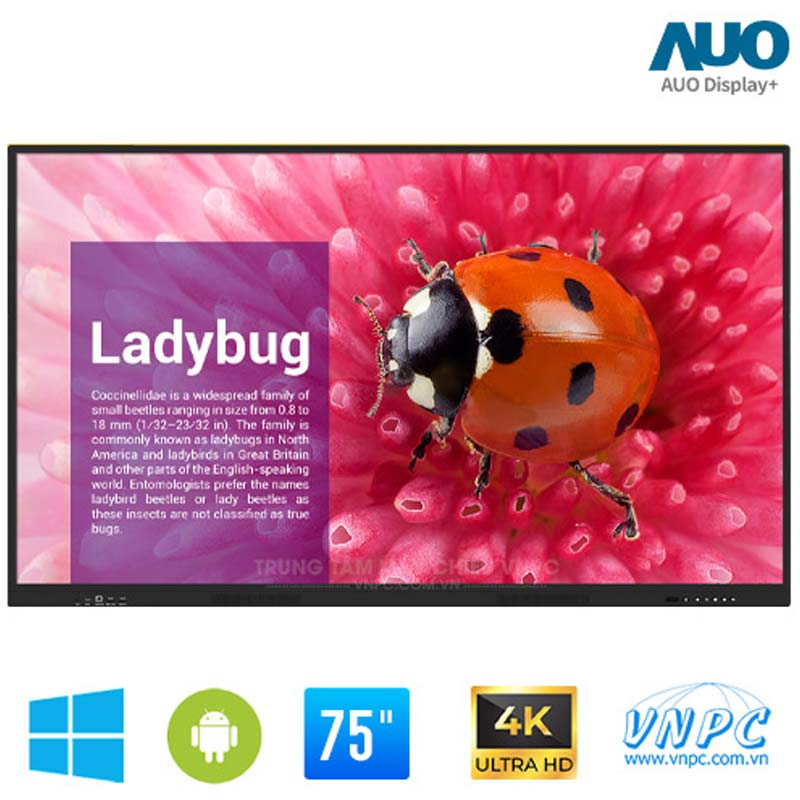 Màn hình tương tác AUO UT7501, 75 inch, 4K-2