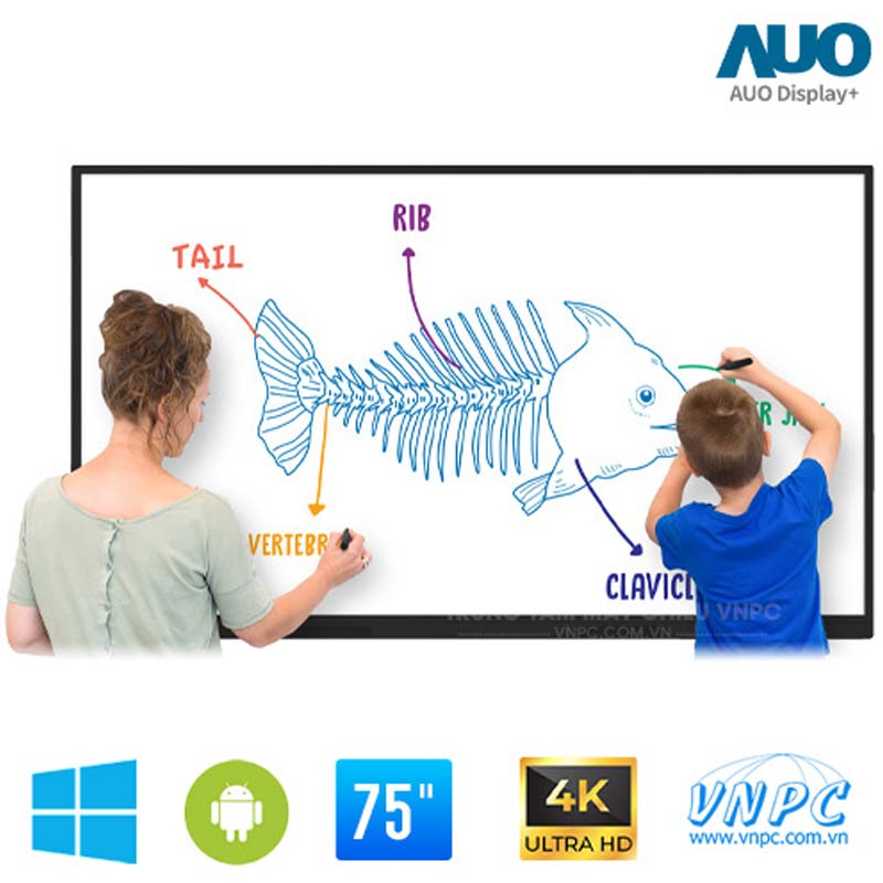 Màn hình tương tác AUO UT7501, 75 inch, 4K-3