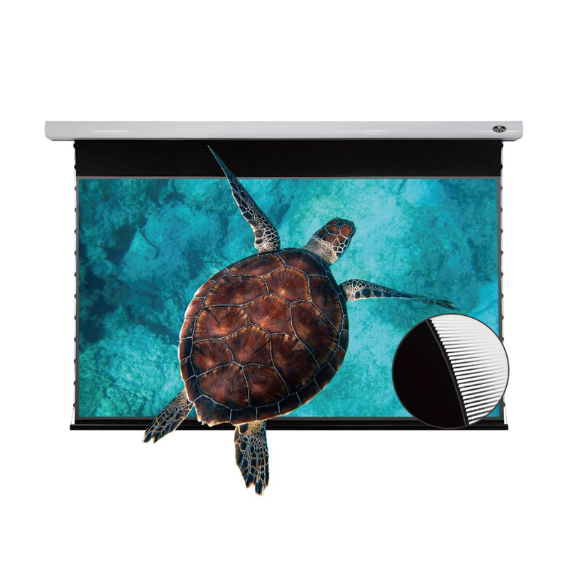 Màn chiếu điện quang học Vividstorm VMSLUST110H (16:9), 110 Inch) Dùng Cho Máy Chiếu Gần