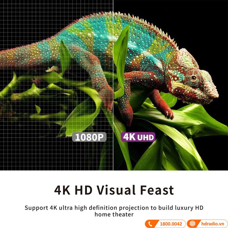 Màn chiếu Vividstorm VSDSTUST100H