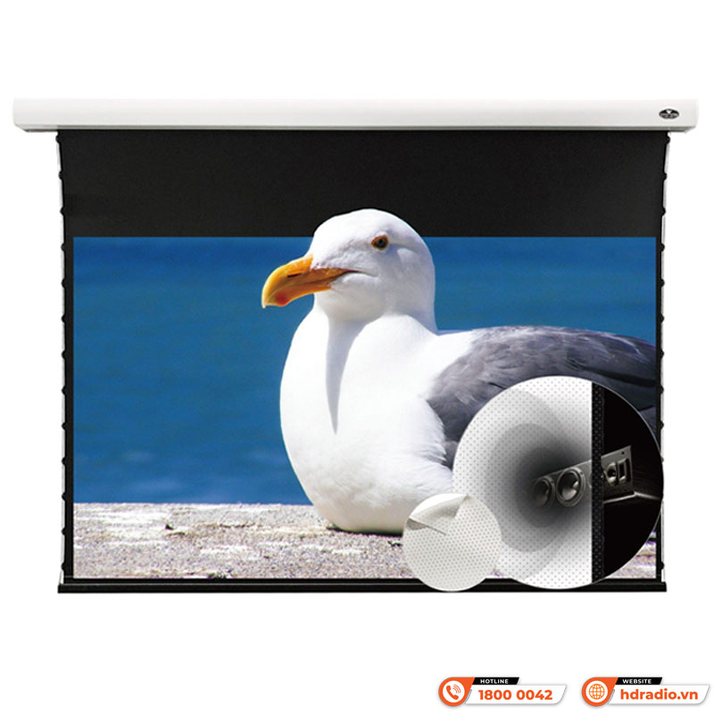 Màn chiếu xuyên âm Vividstorm VMSLPW100H
