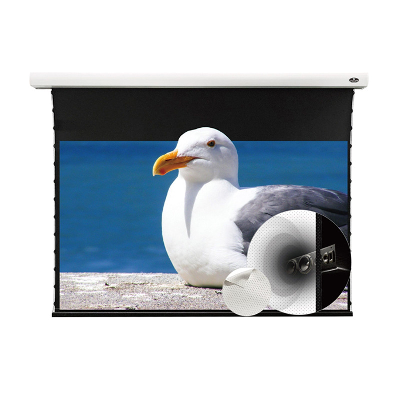 Màn chiếu xuyên âm Vividstorm VMSLPW100H, 100 Inch