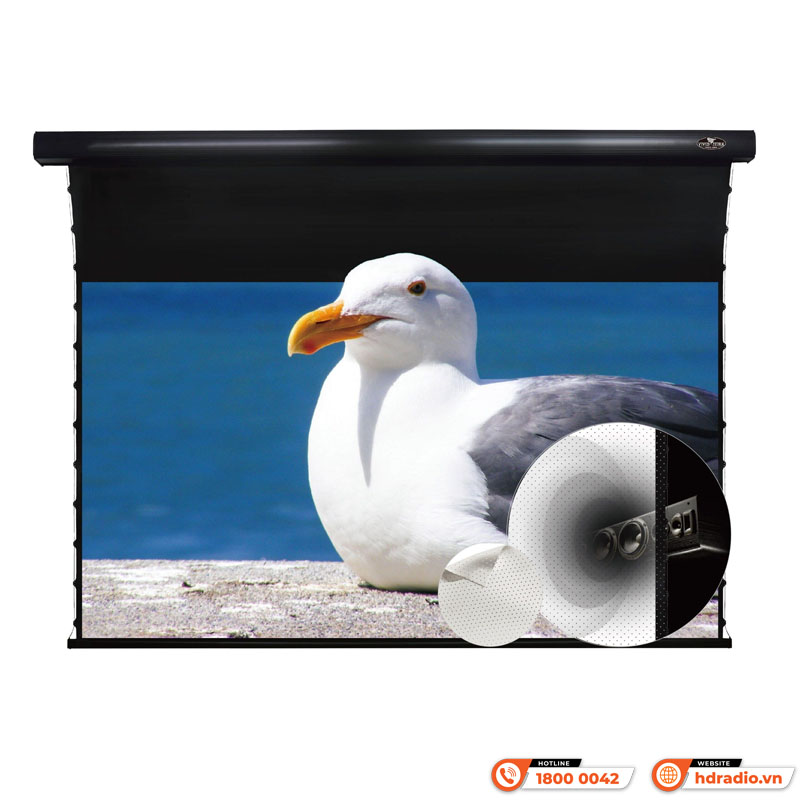 Màn chiếu xuyên âm Vividstorm VMSLPW120H