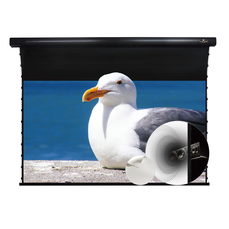 Màn chiếu xuyên âm Vividstorm VMSLPW120H, 120 Inch-1