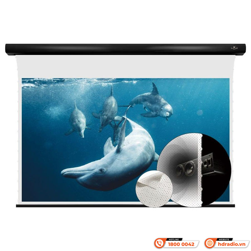 Màn chiếu xuyên âm Vividstorm VMSLPW120H