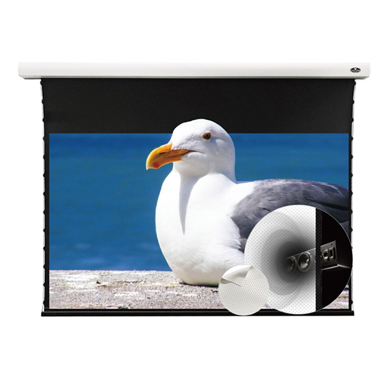 Màn chiếu xuyên âm Vividstorm VMSLPW110H, 110 Inch